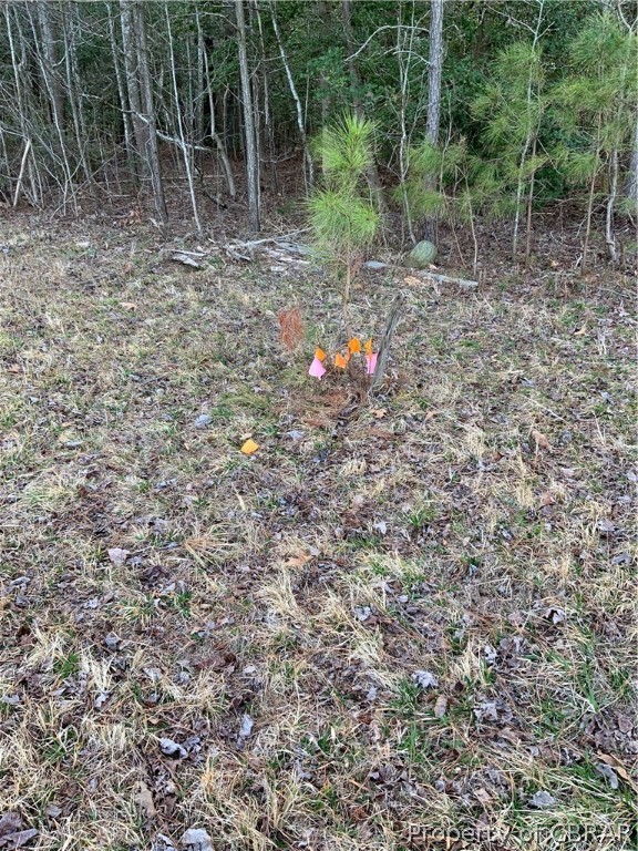 Lot 1 Neumans Road Heathsville, VA 22473 - Photo 7 of 11