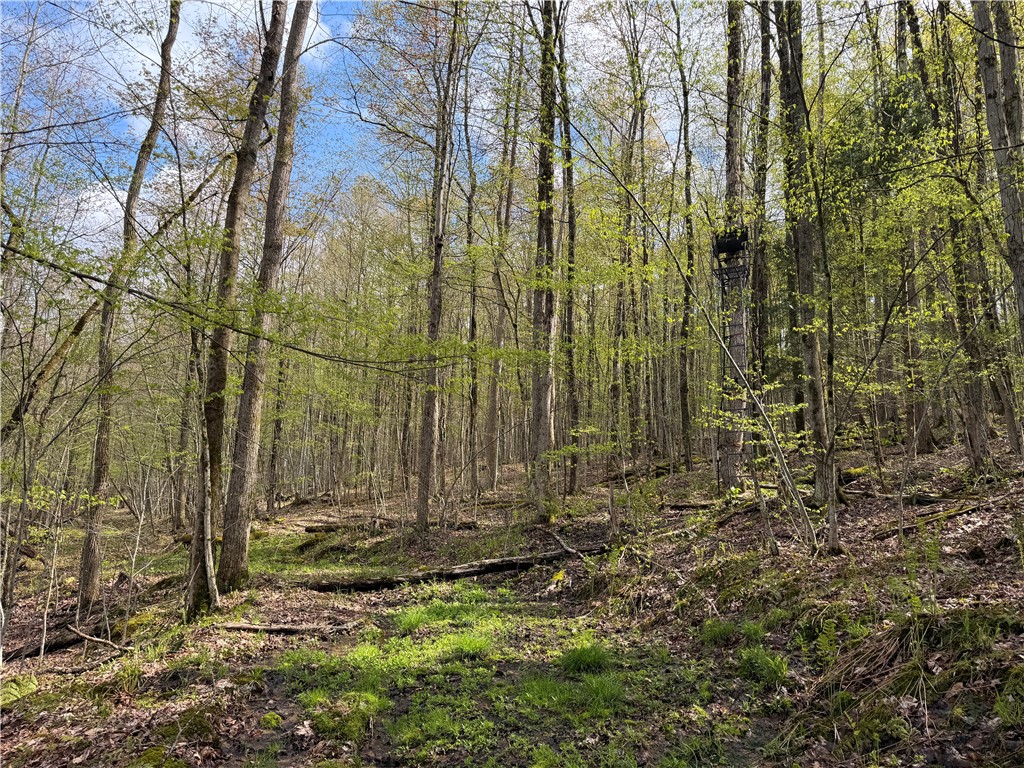 5373 Pig Tail Road Friendship, NY 14739 - Photo 42 of 50