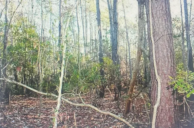 $2,649,999 | 0 James Weston Drive, Mount Pleasant, SC 29429