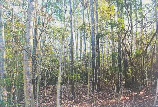 $2,649,999 | 0 James Weston Drive, Mount Pleasant, SC 29429