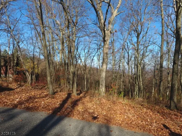 a view of backyard space