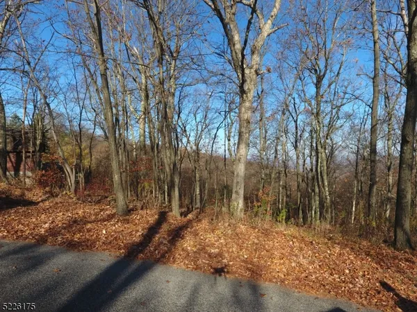 a view of backyard space