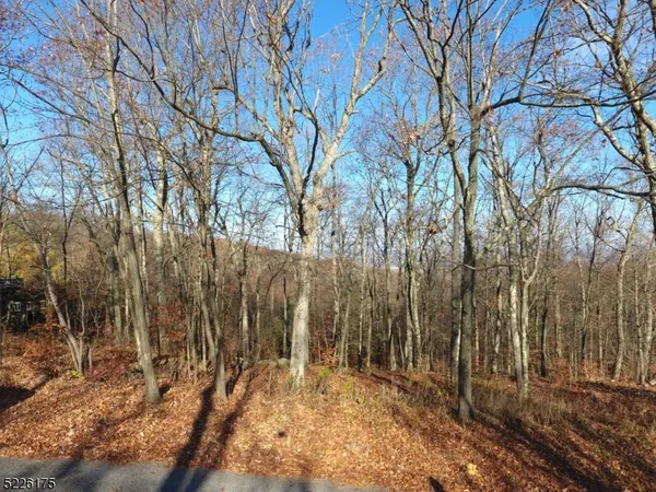 a view of backyard space