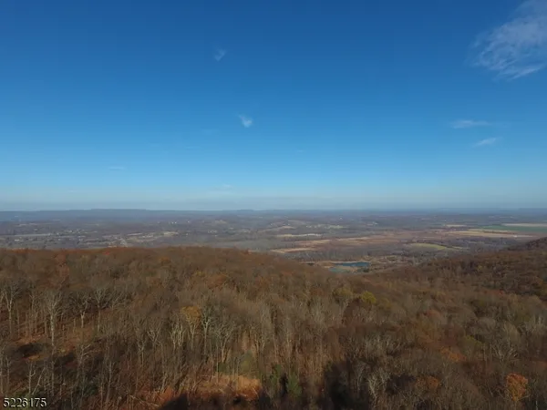 a view of city and green space
