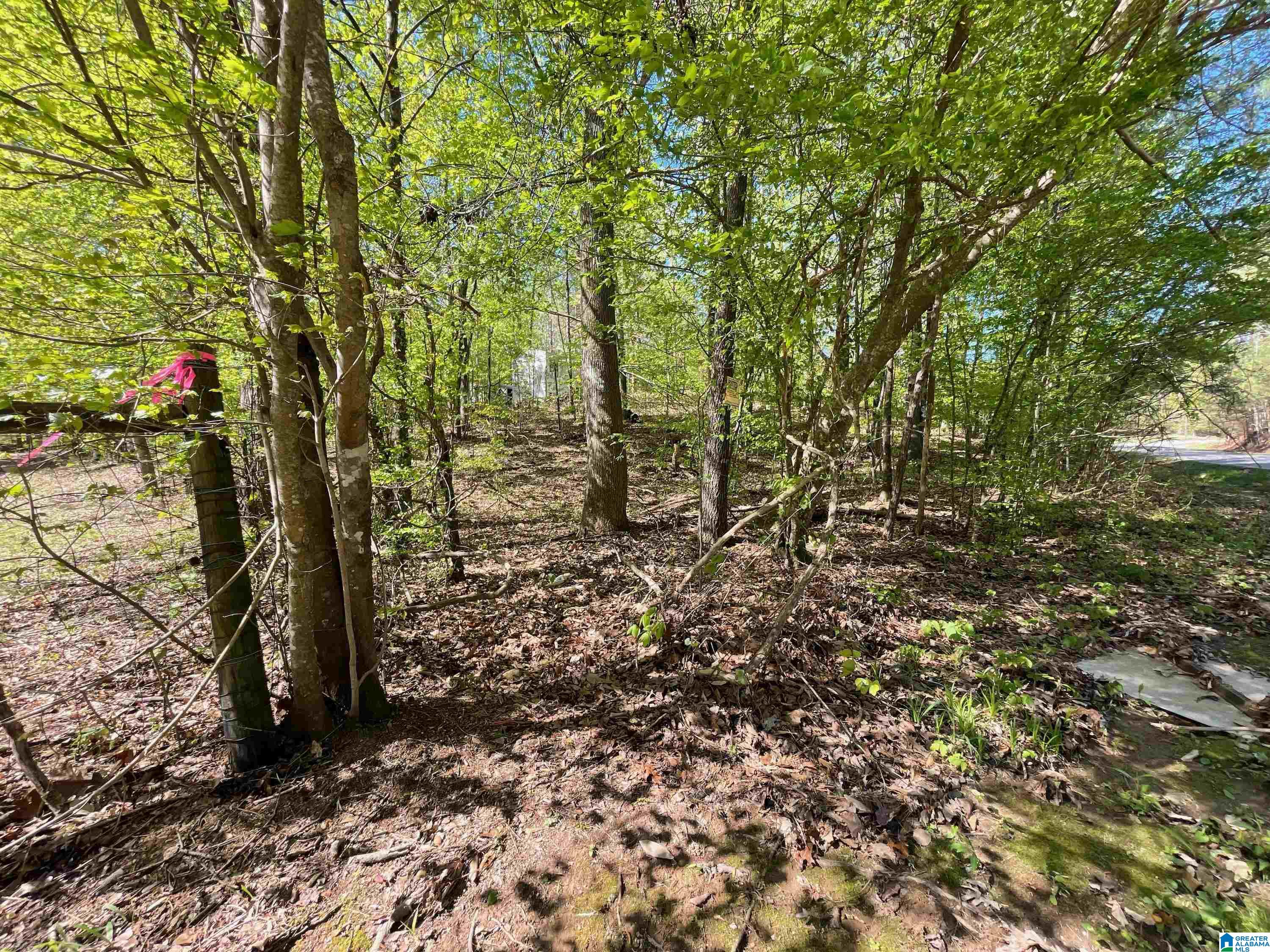 190 County Road 170, Unit 1 Jemison, AL 35085 - Photo 13 of 14