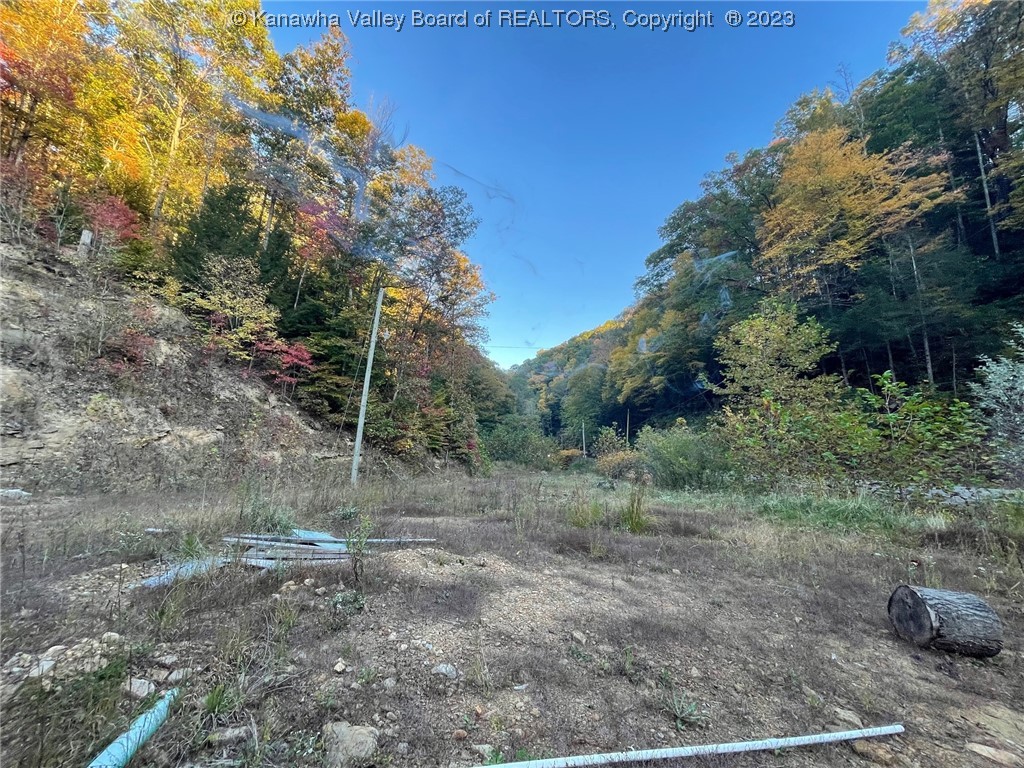 904 Procious Maysel Road Clay, WV 25043 - Photo 1 of 15 Gallery Image 1