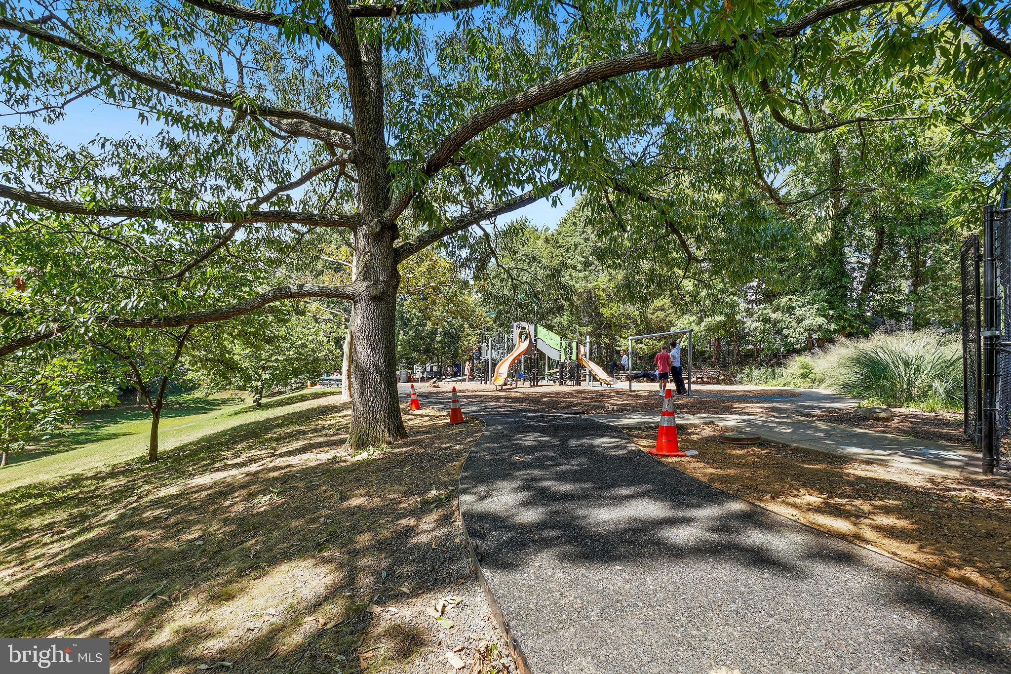2030 North Vermont Street, Unit 301 Arlington, VA 22207 - Photo 25 of 32 a view of a tree in front of a house
