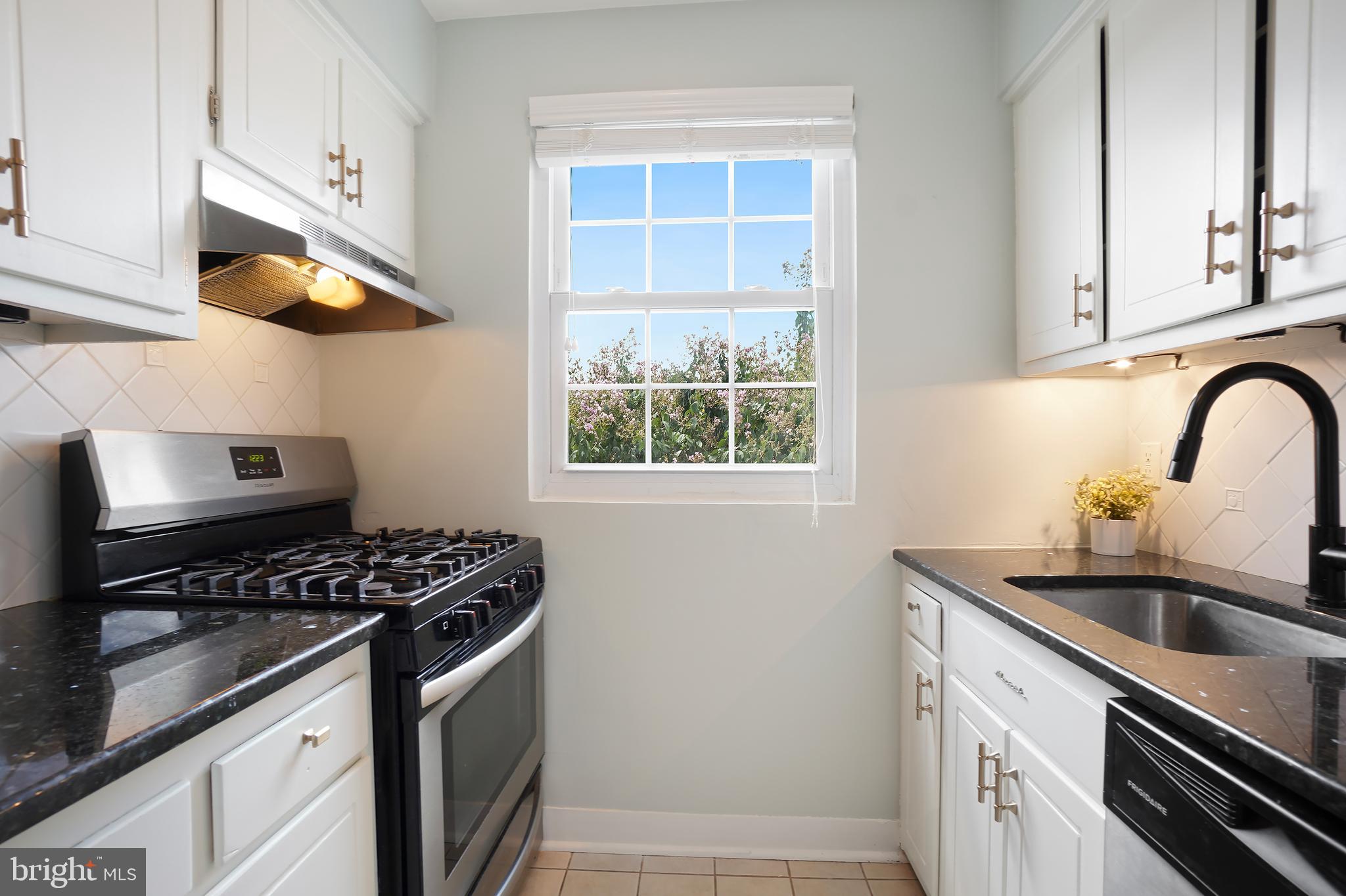 2030 North Vermont Street, Unit 301 Arlington, VA 22207 - Photo 8 of 32 a kitchen with stainless steel appliances a sink a stove and cabinets