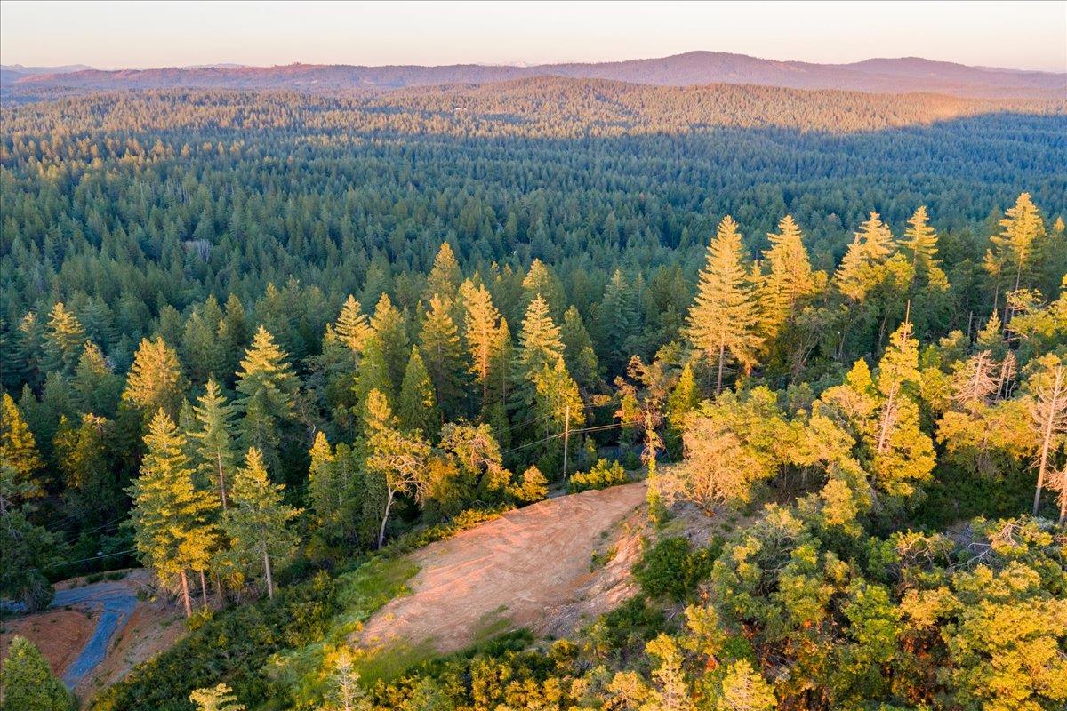 3280 Chipmunk Trail Georgetown, CA 95634 - Photo 17 of 35 Gallery Image 17