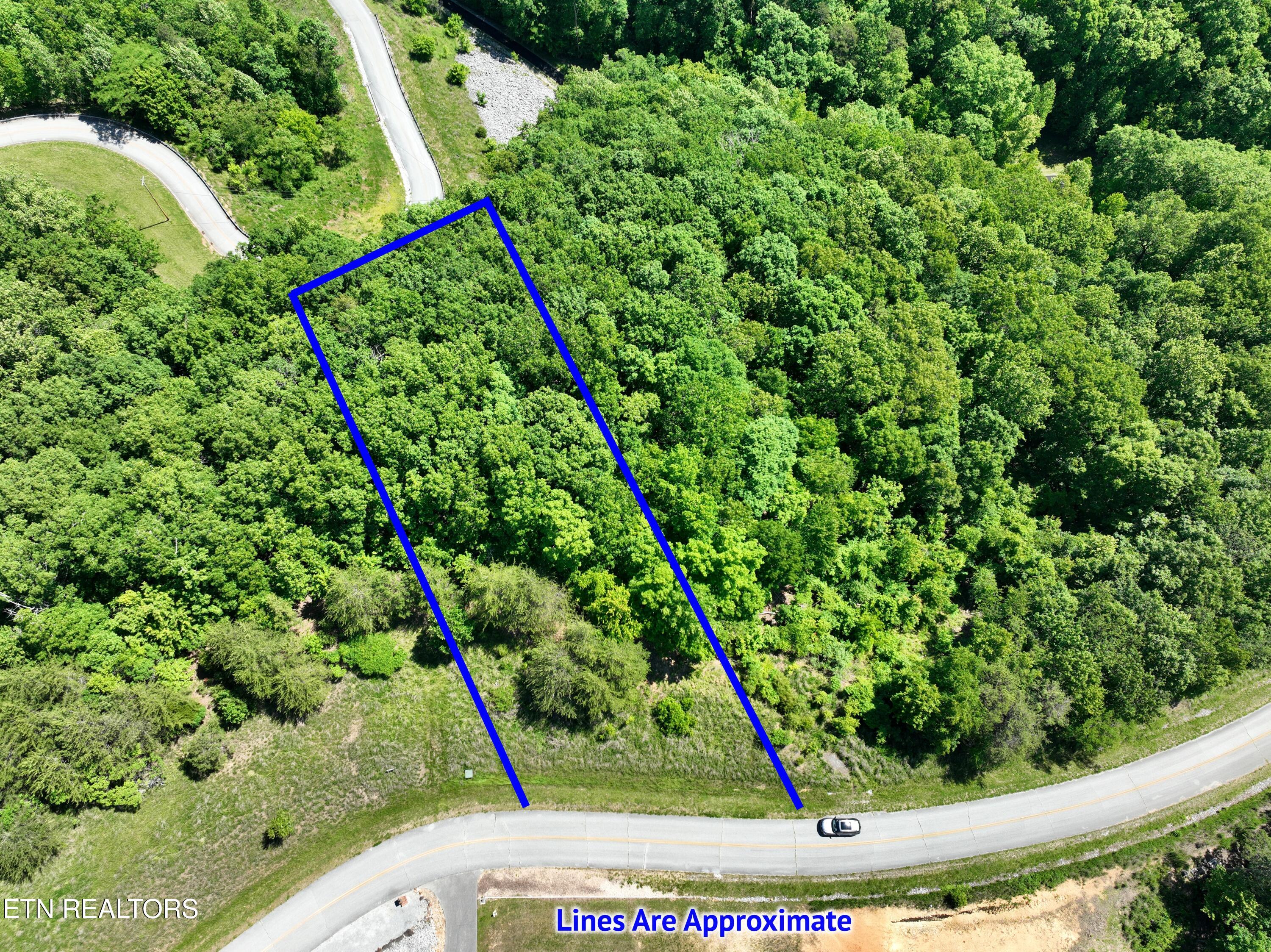 0 Flint Ridge Road Rockwood, TN 37854 - Photo 8 of 37 DJI_0598