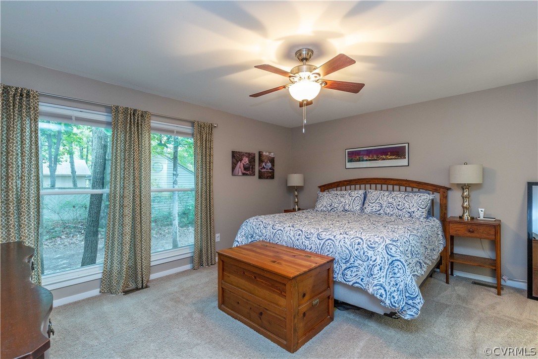 3011 3 Bridges Road Midlothian, VA 23112 - Photo 13 of 24