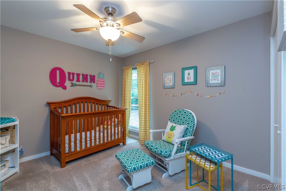 3011 3 Bridges Road Midlothian, VA 23112 - Photo 17 of 24