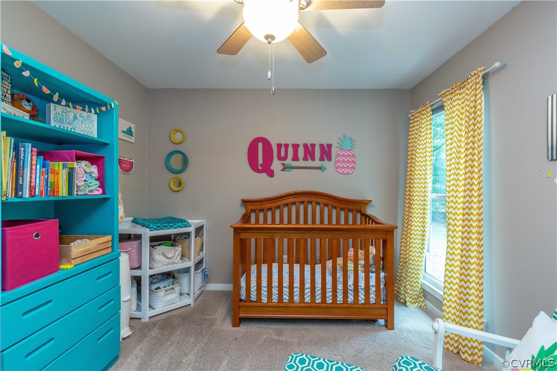 3011 3 Bridges Road Midlothian, VA 23112 - Photo 18 of 24