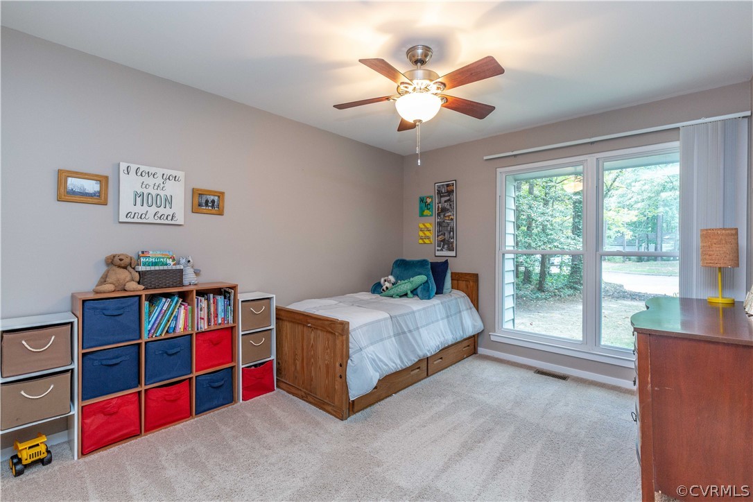 3011 3 Bridges Road Midlothian, VA 23112 - Photo 19 of 24