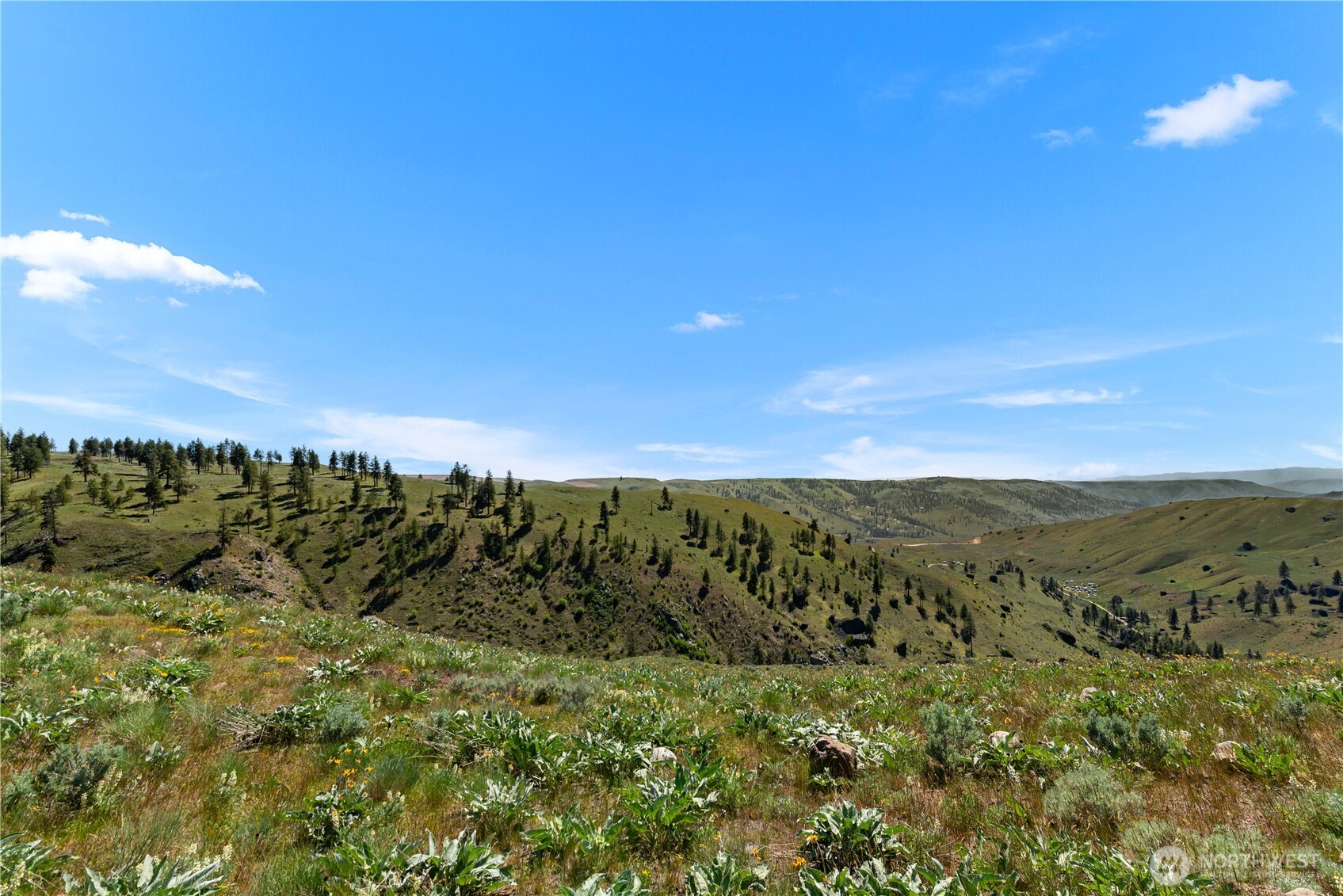 12 Columbia River Bluffs Road Waterville, WA 98858 - Photo 38 of 40