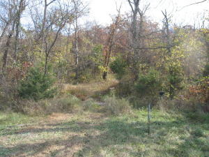 199 Pleasant Prairie Road, Unit LOT 3 Marshfield, MO 65706 - Photo 1 of 1 landofmine
