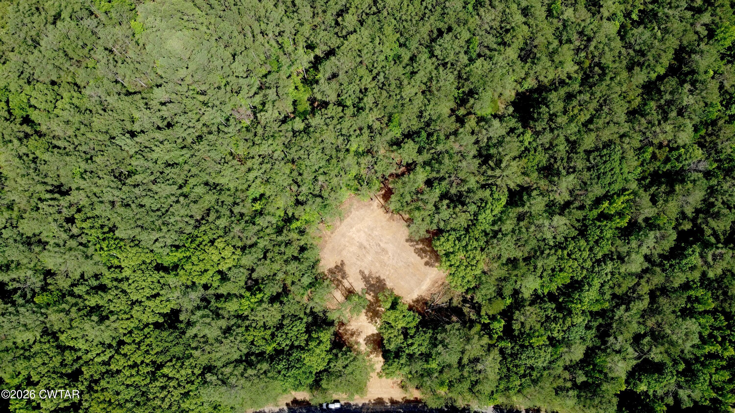 0 Old Lula Road Reagan, TN 38368 - Photo 14 of 18 dji_fly_20260621_150646_215_178207243730