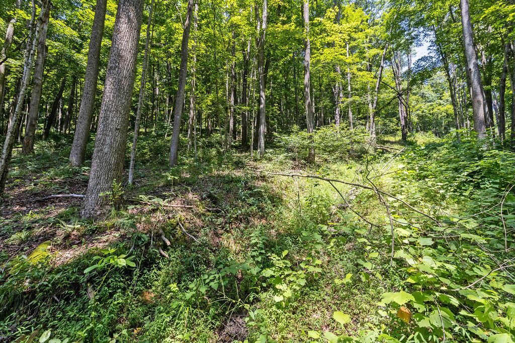 24272 Conrad Road Laurelville, OH 43135 - Photo 27 of 32 27-Walking Path-6