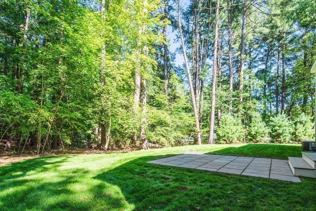 3 Lyman Road Framingham, MA 01701 - Photo 6 of 27