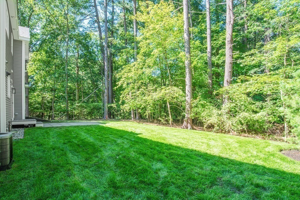 3 Lyman Road Framingham, MA 01701 - Photo 7 of 27