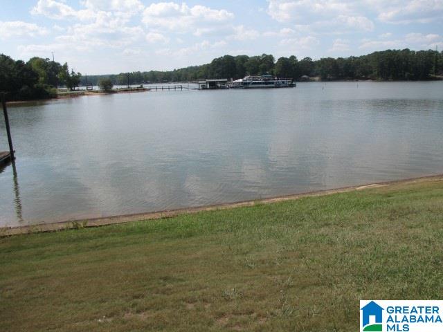 2310 Rabbit Branch Road Cropwell, AL 35054 - Photo 4 of 27