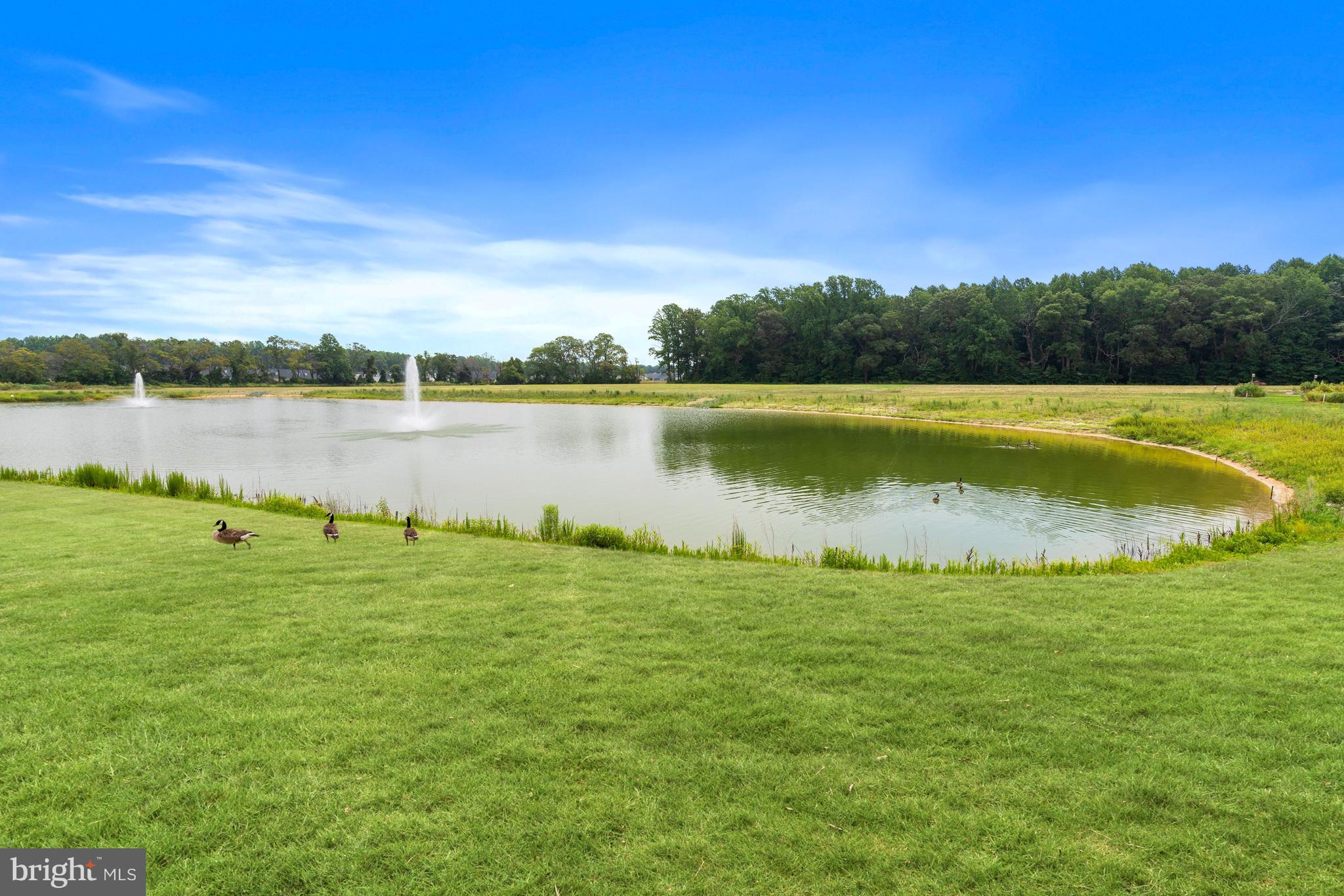 31656 Exeter Way Lewes, DE 19958 - Photo 43 of 46 Community Photo