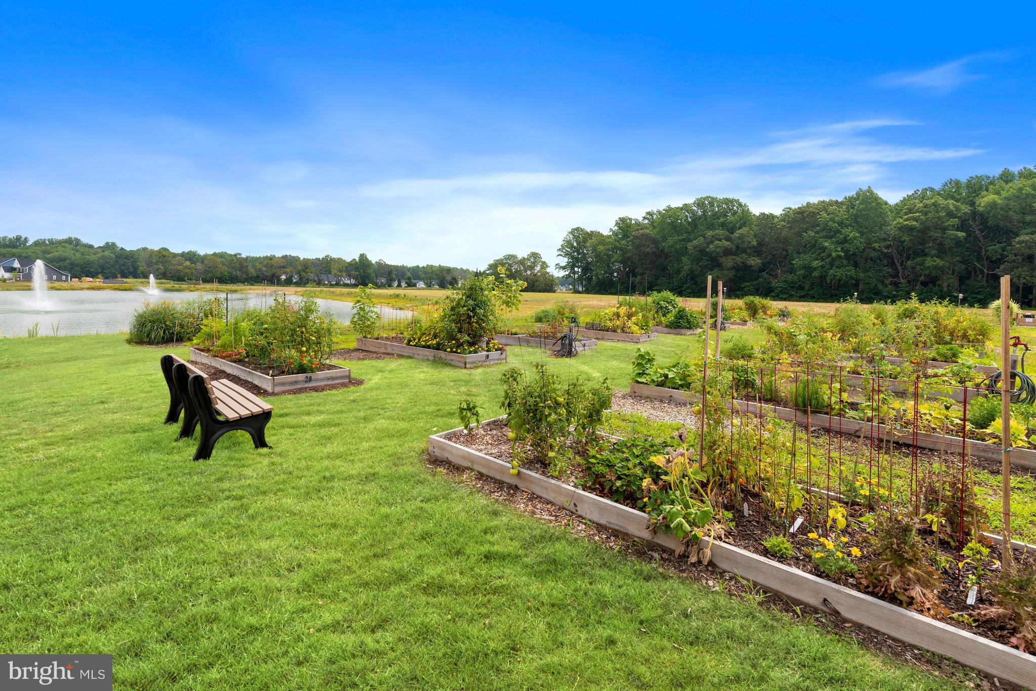 31656 Exeter Way Lewes, DE 19958 - Photo 44 of 46 Community Photo