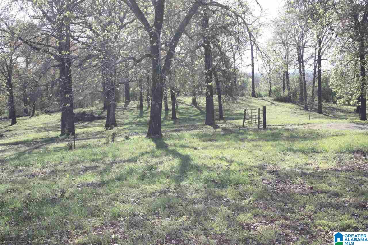 11506 Stemley Road Lincoln, AL 35096 - Photo 9 of 21