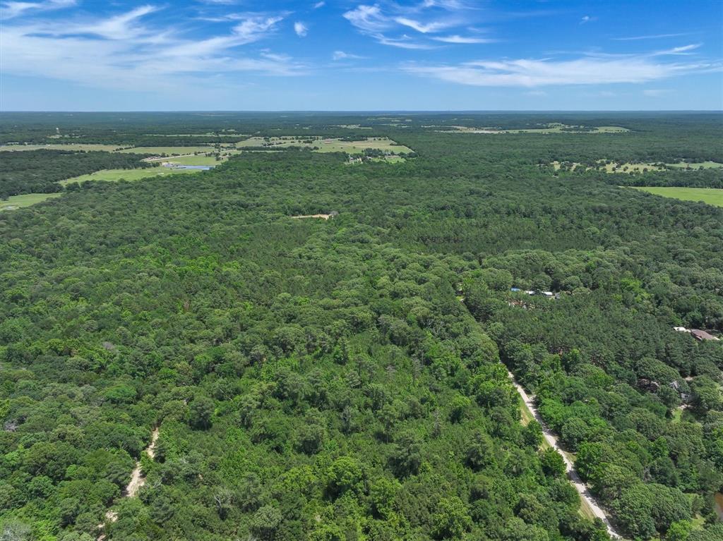8079 Rd Ben Wheeler Tx 75754 Road Ben Wheeler, TX 75754 - Photo 20 of 37 a view of an ocean