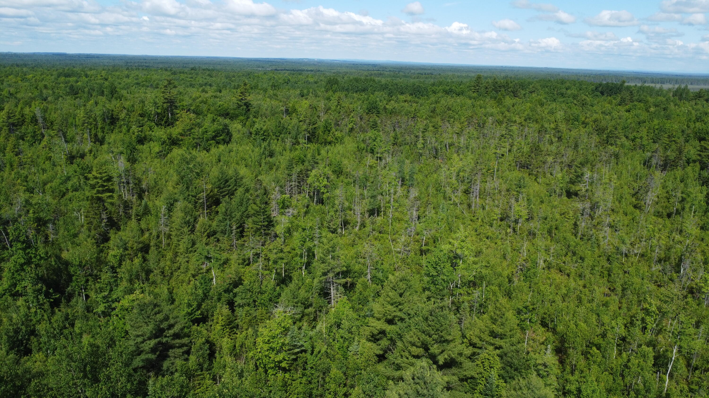 30-007 Cardville Road Greenbush, ME 04418 - Photo 10 of 19 DJI_0070