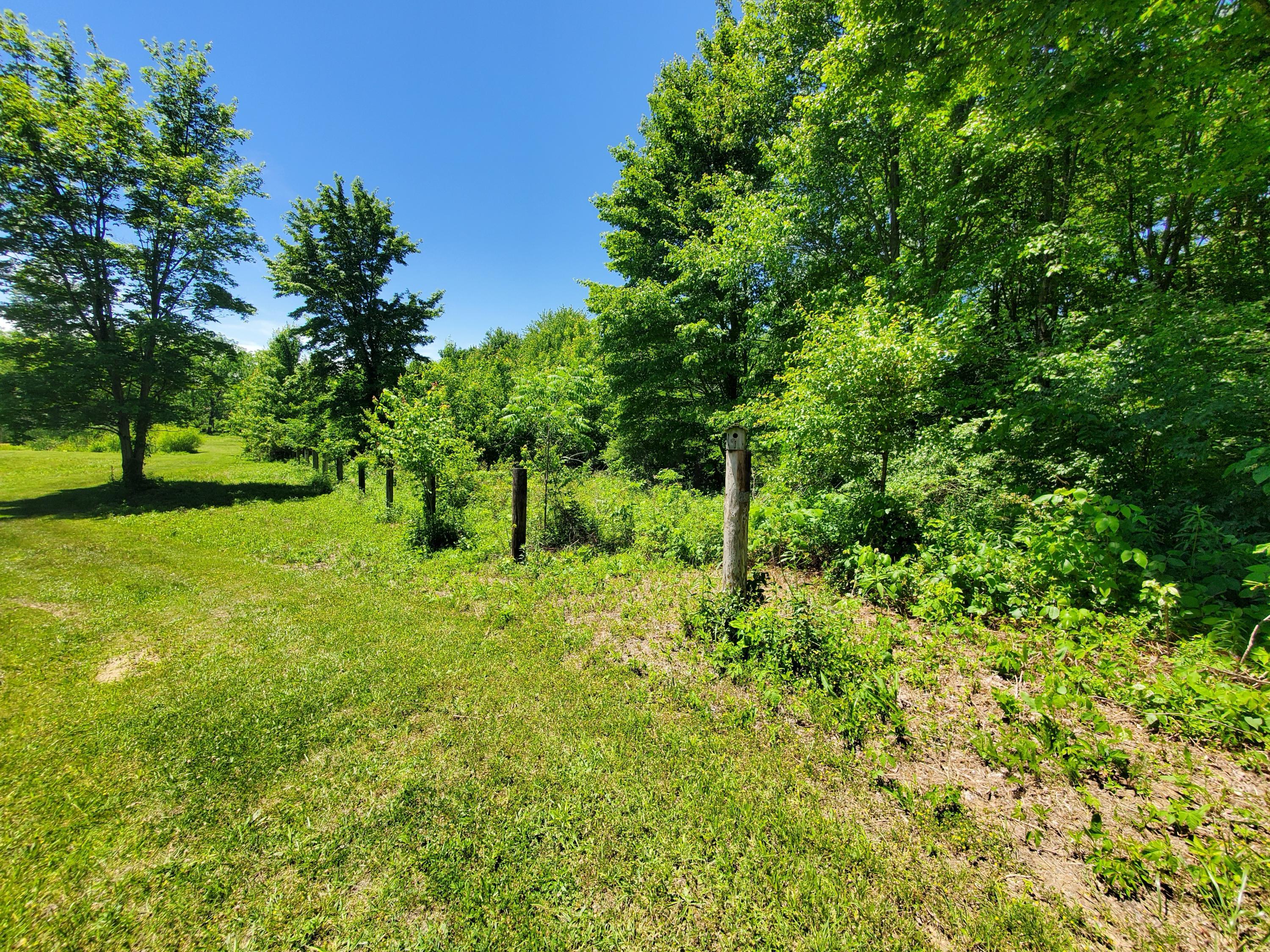 0 Barr Road Southwest Amanda, OH 43102 - Photo 4 of 9