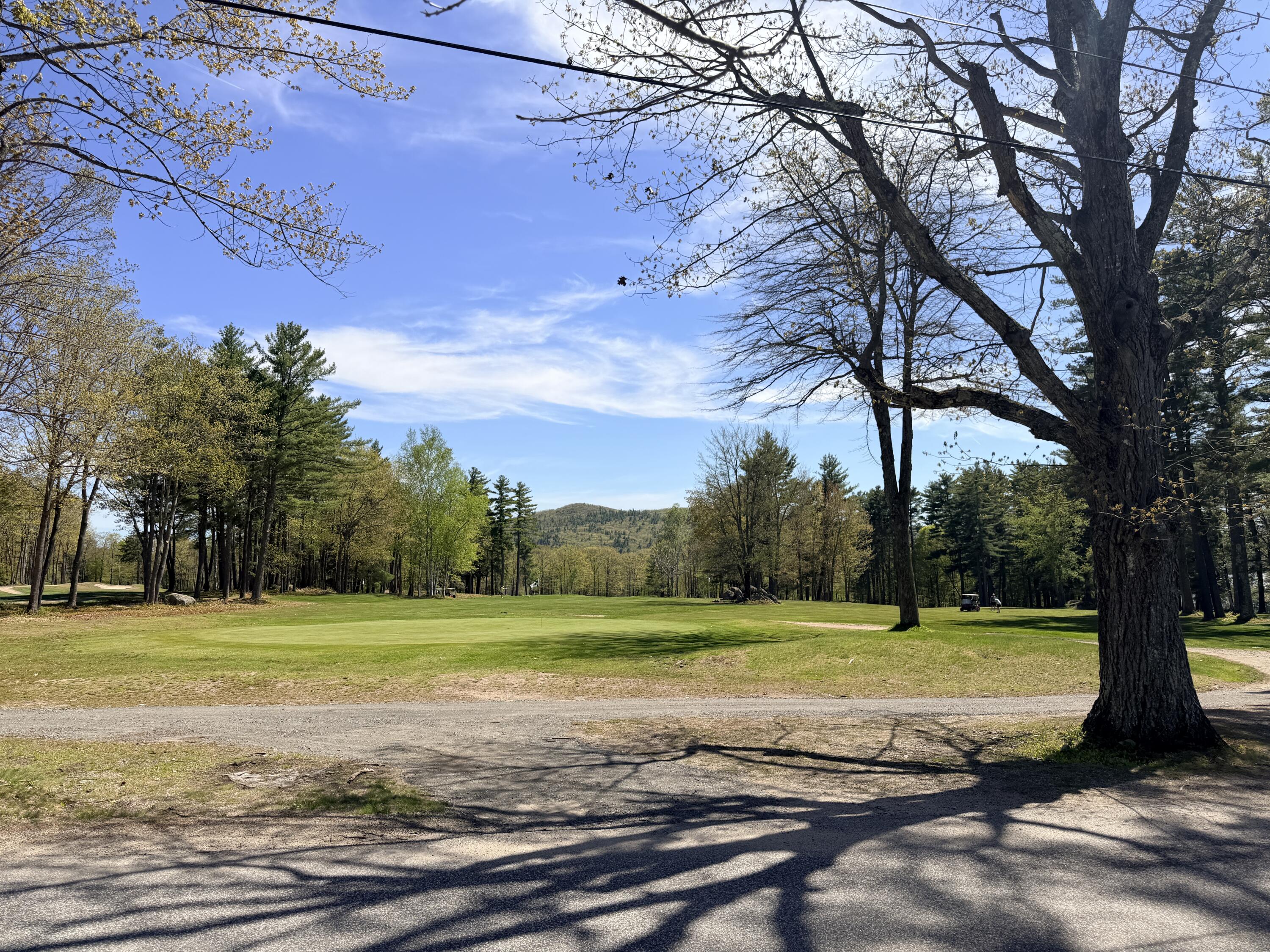 Lot 4 Emery Road Parsonsfield, ME 04047 - Photo 21 of 42 IMG_5350