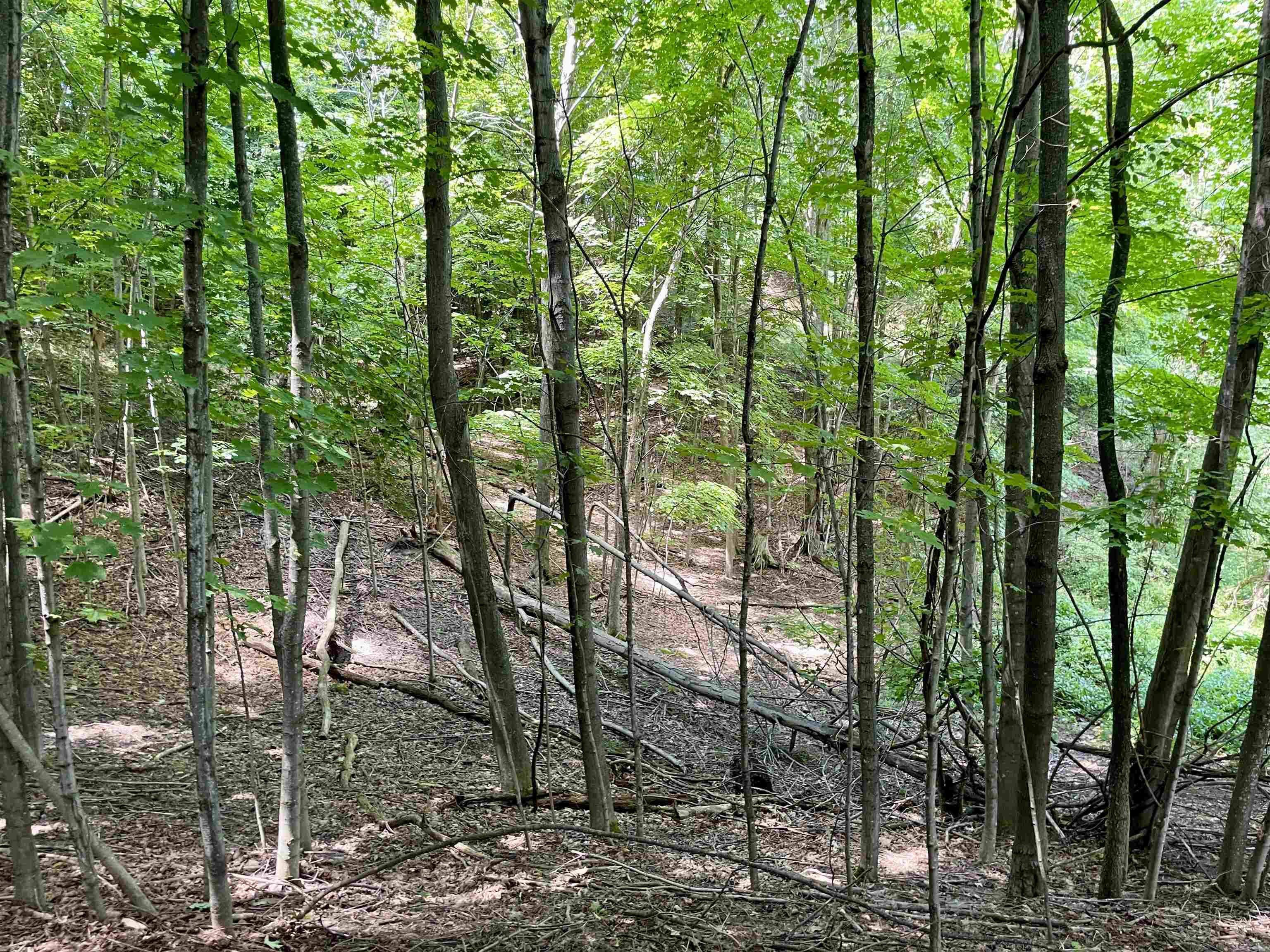 0 Bassil Road Bellaire, MI 49615 - Photo 11 of 15 1925113-001e19da-5c62-4b9c-a12b-840af9fdf62c.JPG
