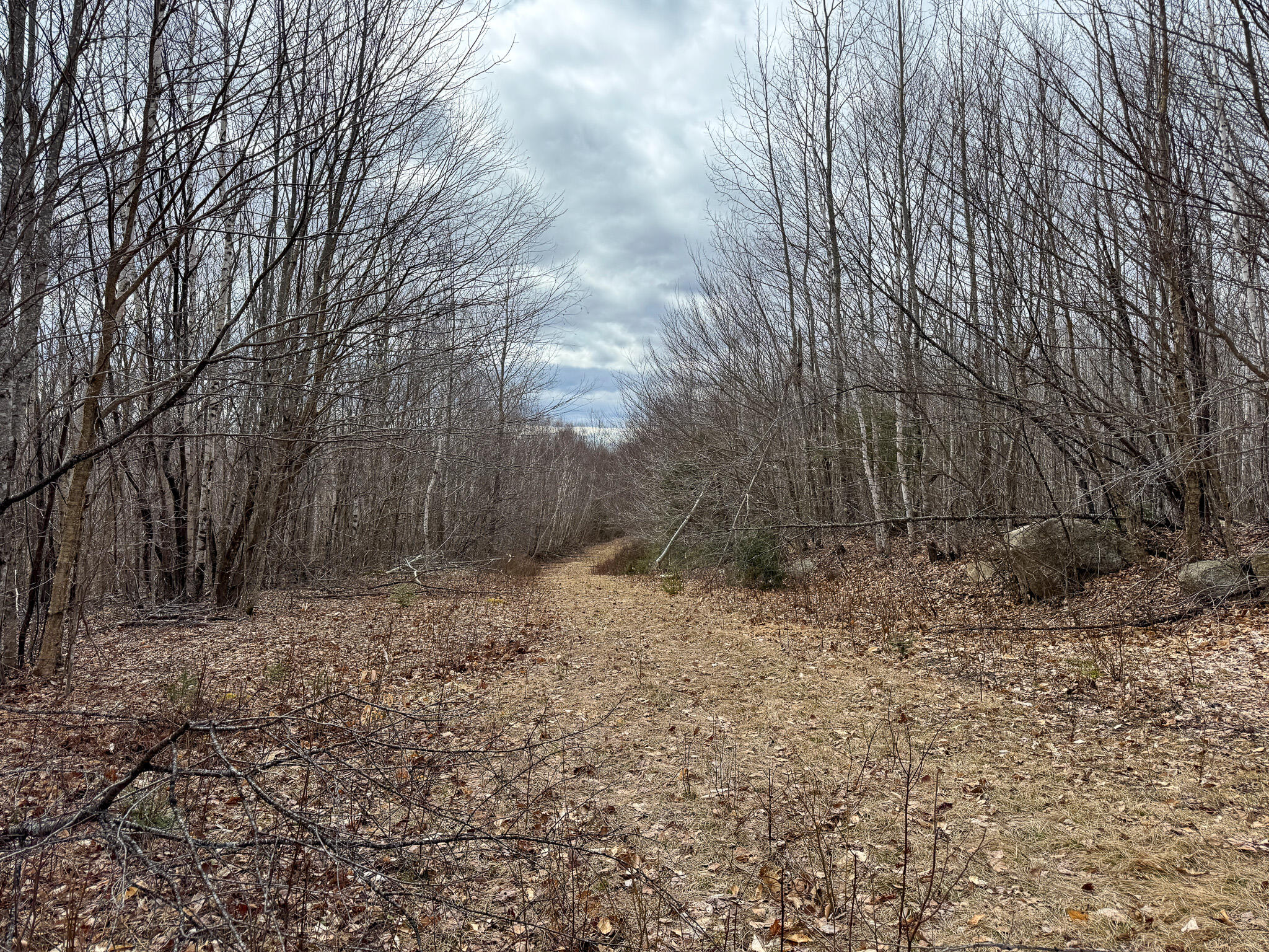 Lot 16 Upper Dobsis Road Lakeville, ME 04487 - Photo 18 of 26 18