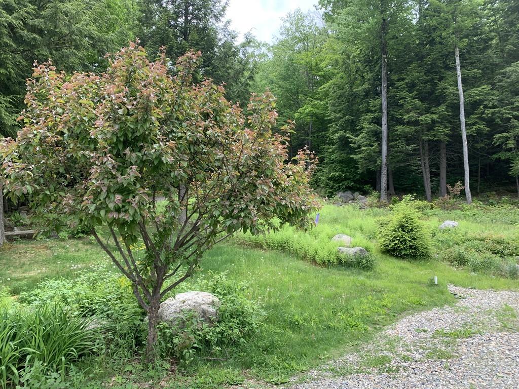 44 Wickett Pond Road Wendell, MA 01379 - Photo 23 of 26 Gallery Image 23