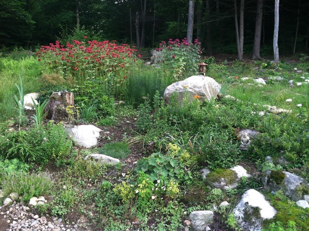 44 Wickett Pond Road Wendell, MA 01379 - Photo 4 of 26 Gallery Image 4