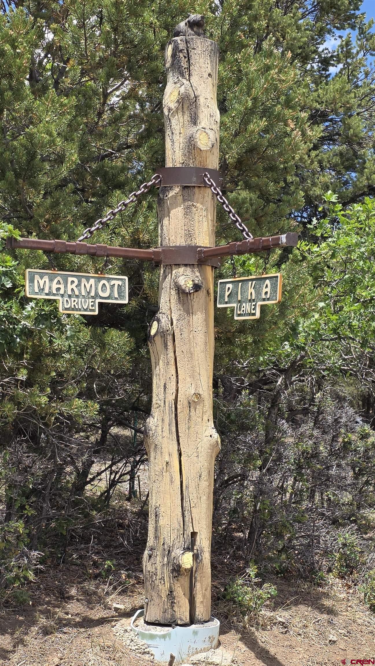 118 Pika Lane Ridgway, CO 81432 - Photo 9 of 10