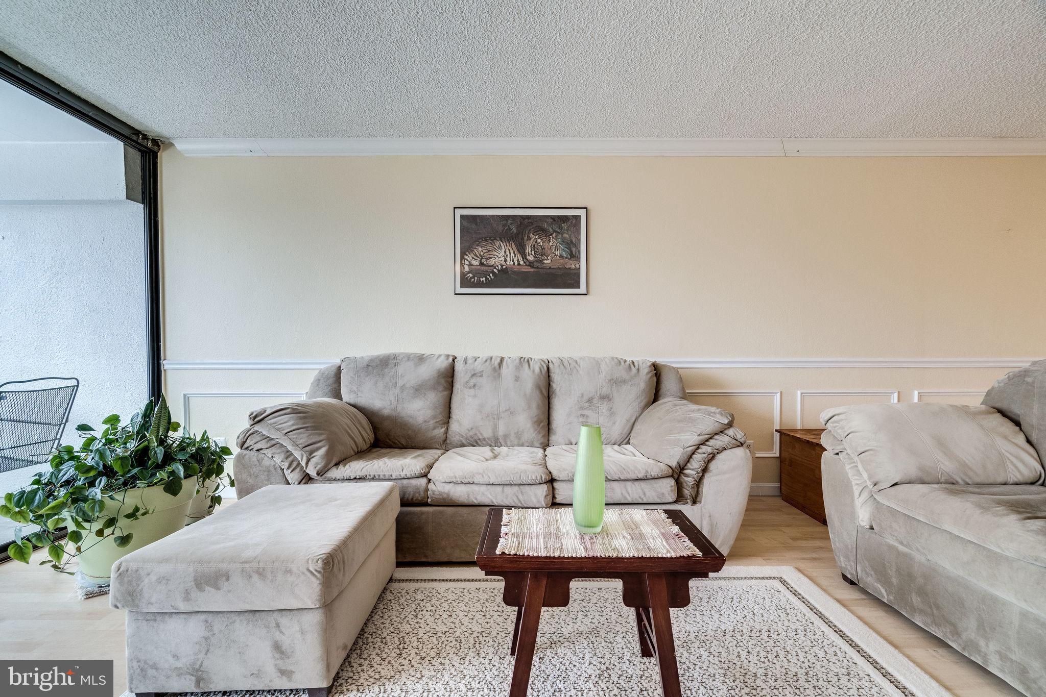 6101 Edsall Road, Unit 905 Alexandria, VA 22304 - Photo 12 of 62 a living room with furniture and a couch