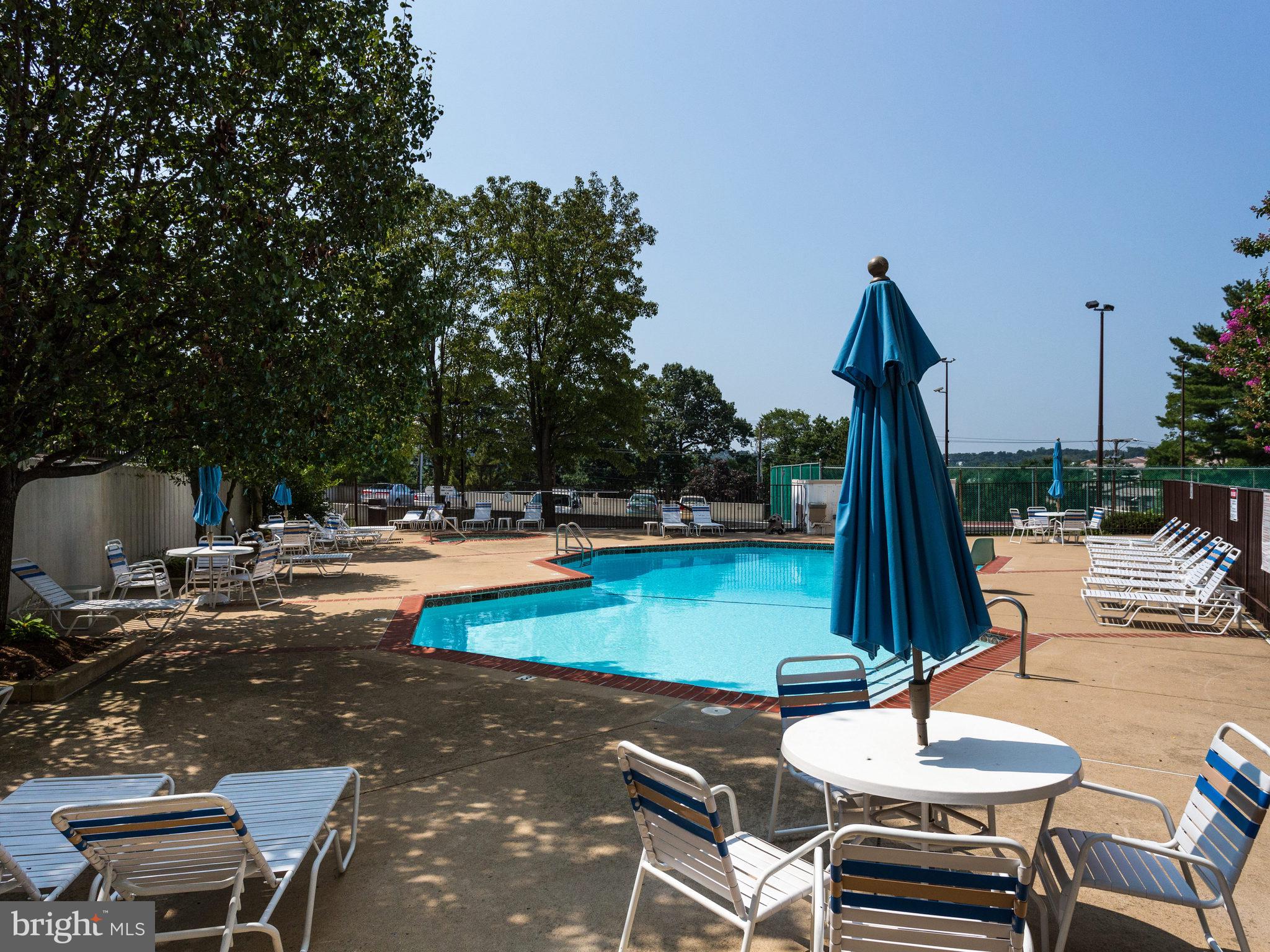 6101 Edsall Road, Unit 905 Alexandria, VA 22304 - Photo 60 of 62 a view of swimming pool with lawn chairs and plants