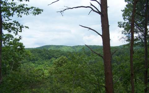 256 Choctaw Ridge Blue Ridge, GA 30513 - Photo 1 of 1 Main View