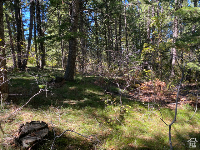 St, Unit 56 Bancroft, ID 83217 - Photo 4 of 17
