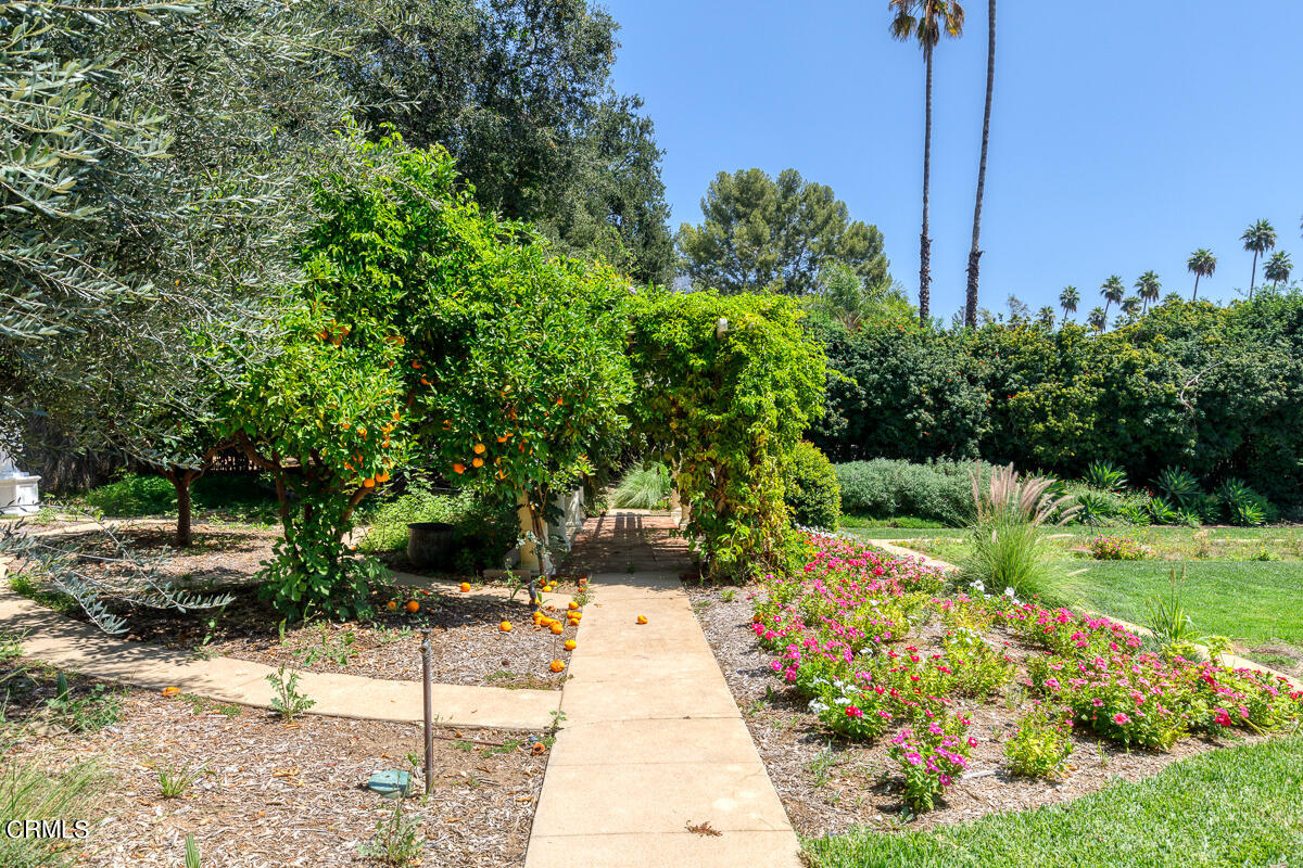1973 Mendocino Lane Altadena, CA 91001 - Photo 44 of 57 a view of a pathway with flower garden