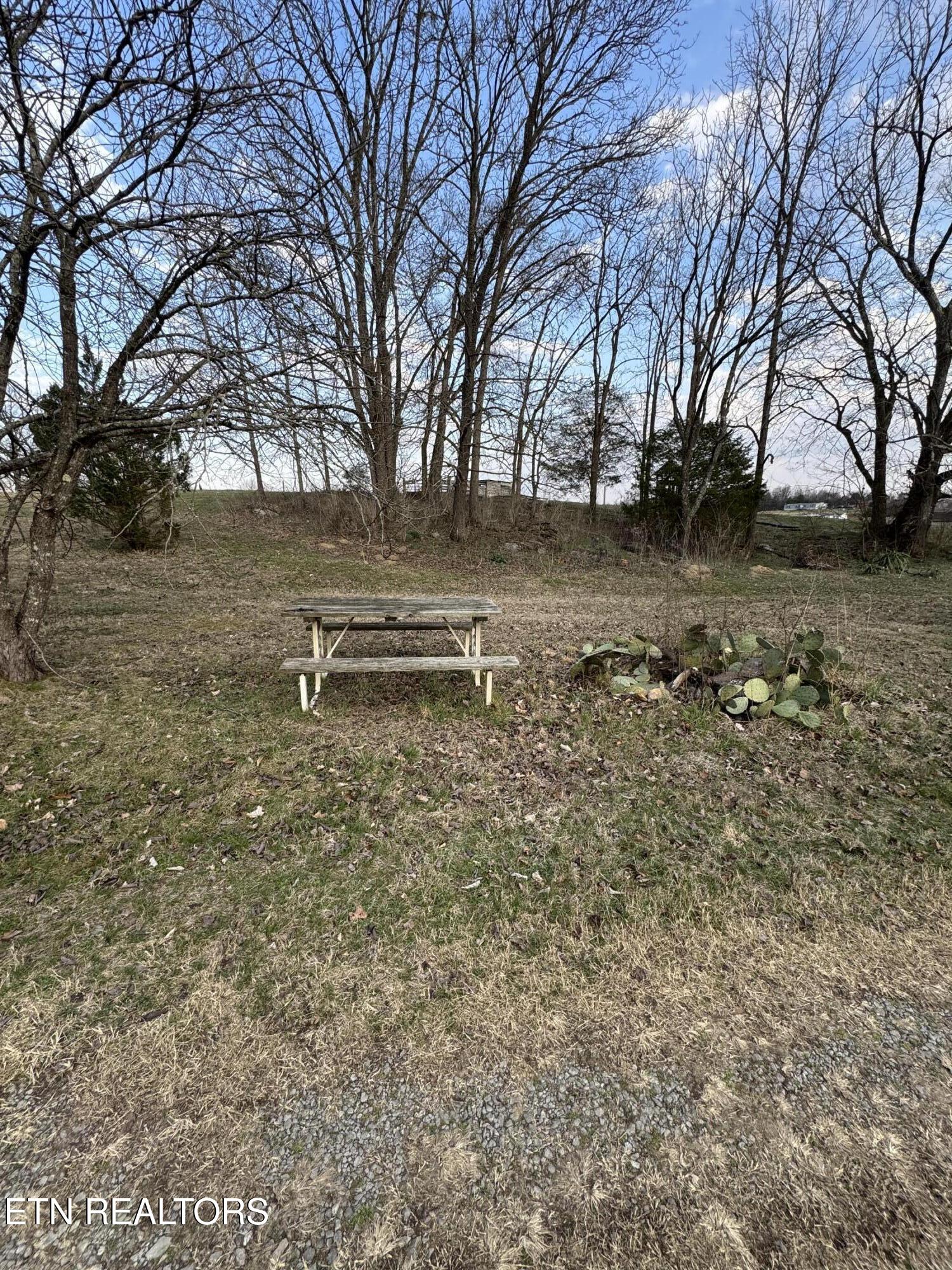 3570 Baker Springs Road White Pine, TN 37890 - Photo 6 of 8 IMG_0422