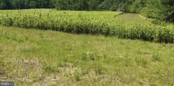 $74,000 | Lot B Lot B Kings Highway, Montross, VA 22520
