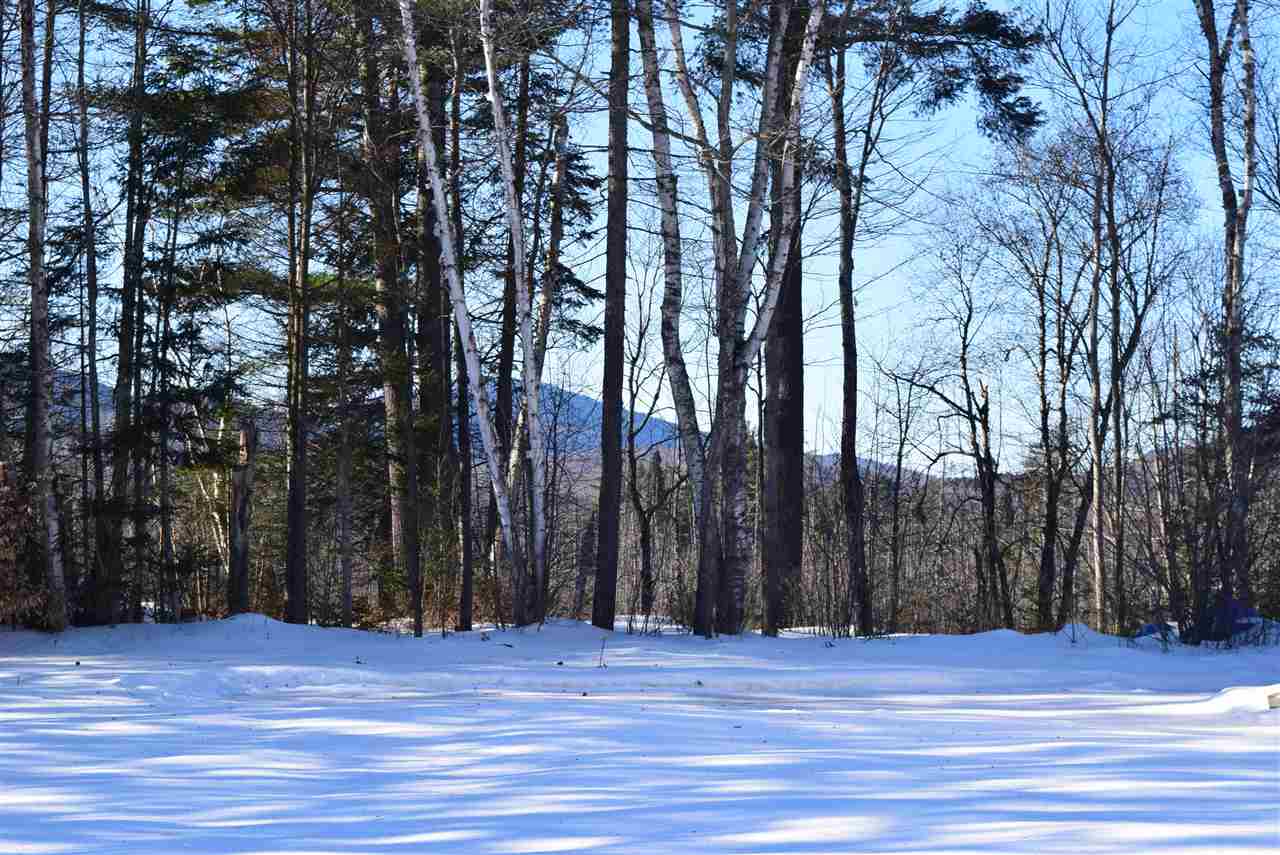 7 Pine Haven Road Lancaster, NH 03584 - Photo 3 of 40