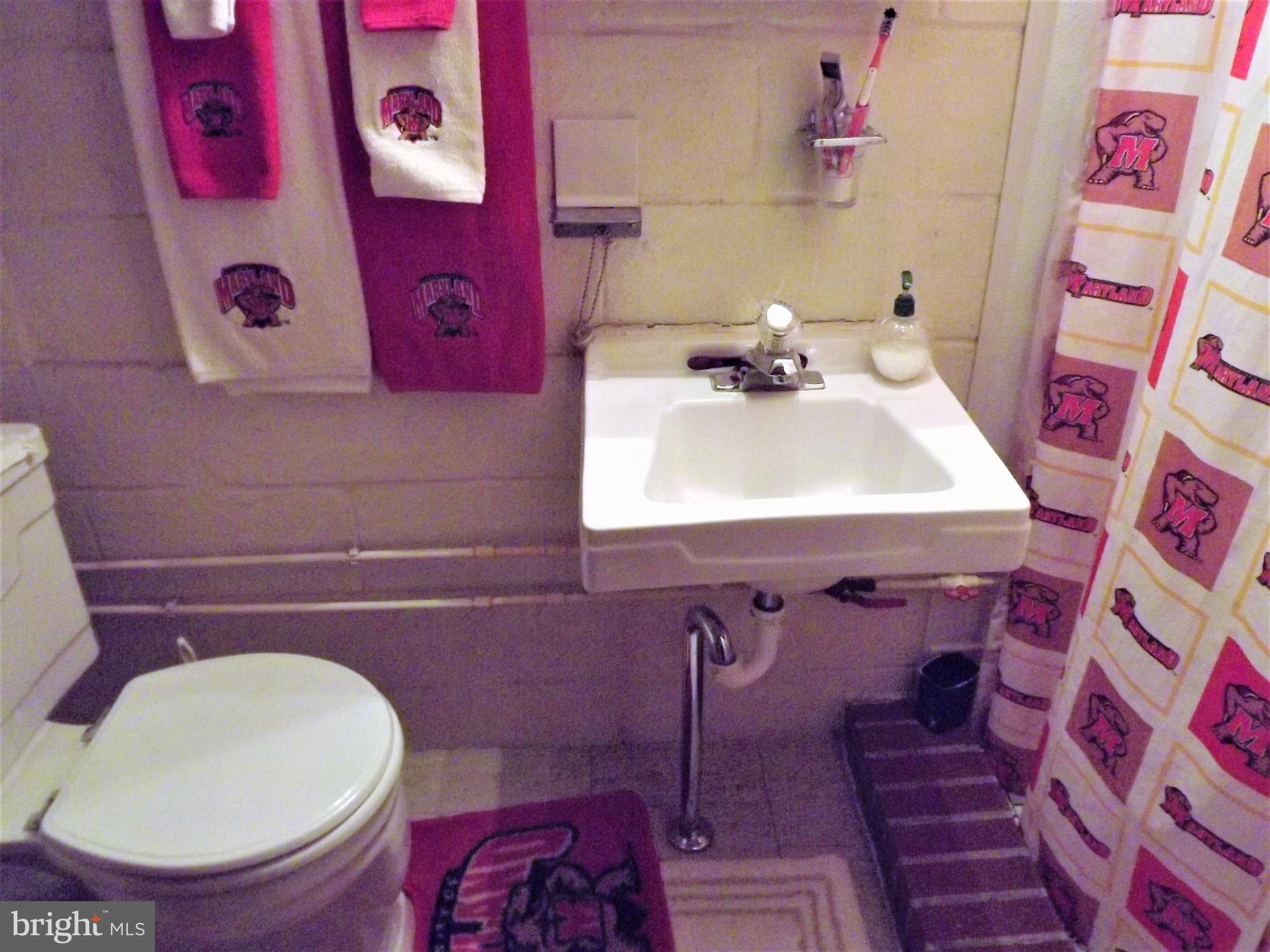 7357 Edsworth Road Baltimore, MD 21222 - Photo 29 of 30 Basement full bathroom with a shower.