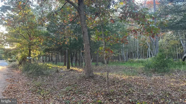 a view of outdoor space and green space