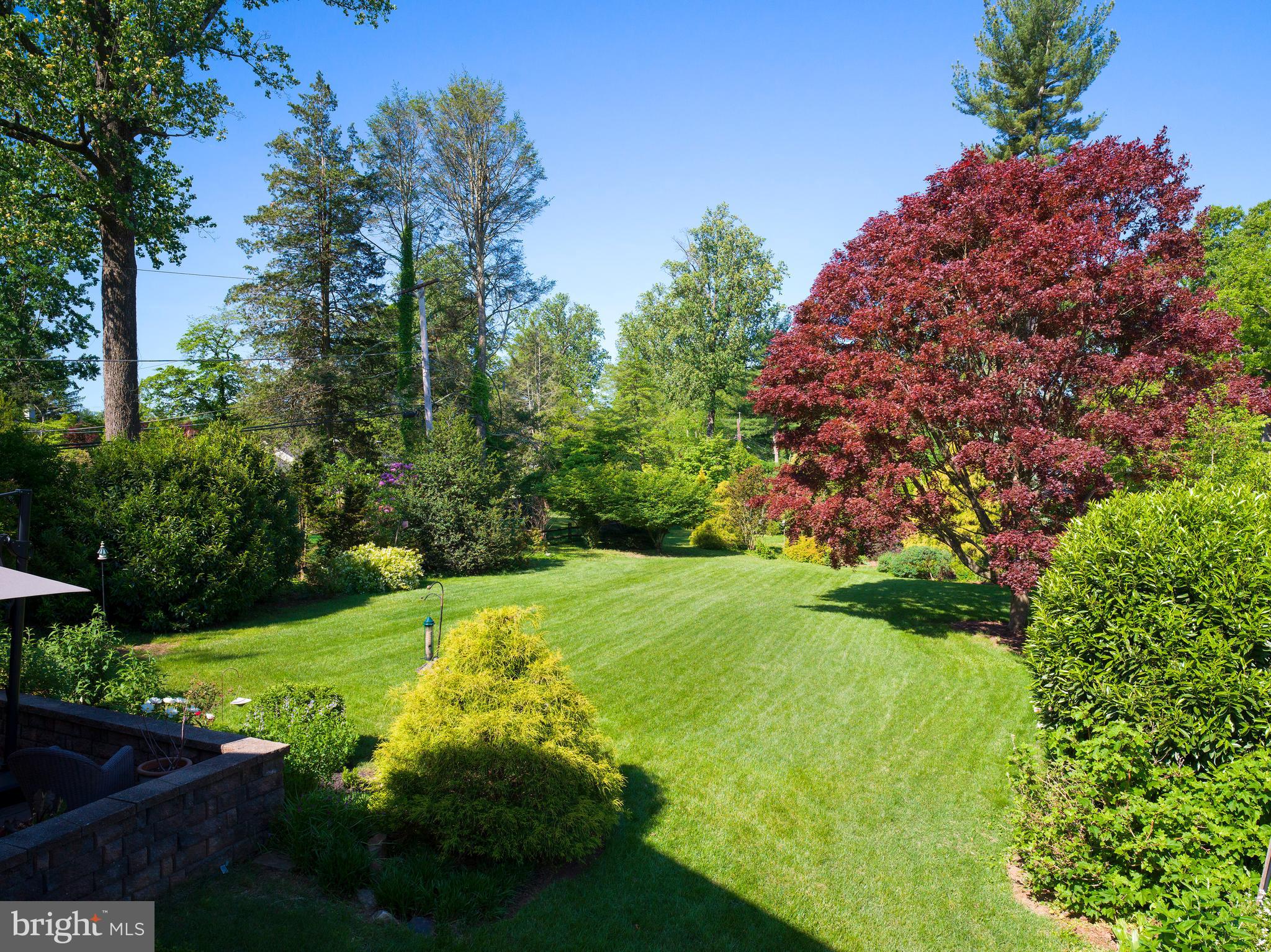 442 Old Eagle School Road Wayne, PA 19087 - Photo 38 of 39 a yard with lots of green space