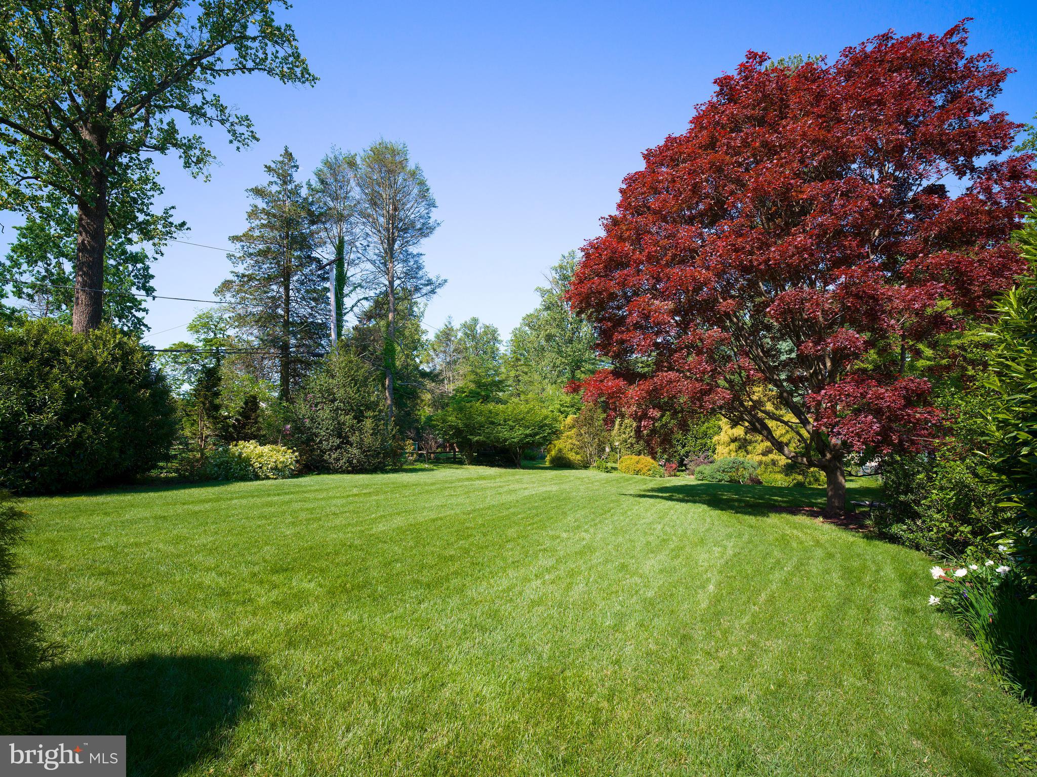 442 Old Eagle School Road Wayne, PA 19087 - Photo 39 of 39 a view of a grassy field with trees