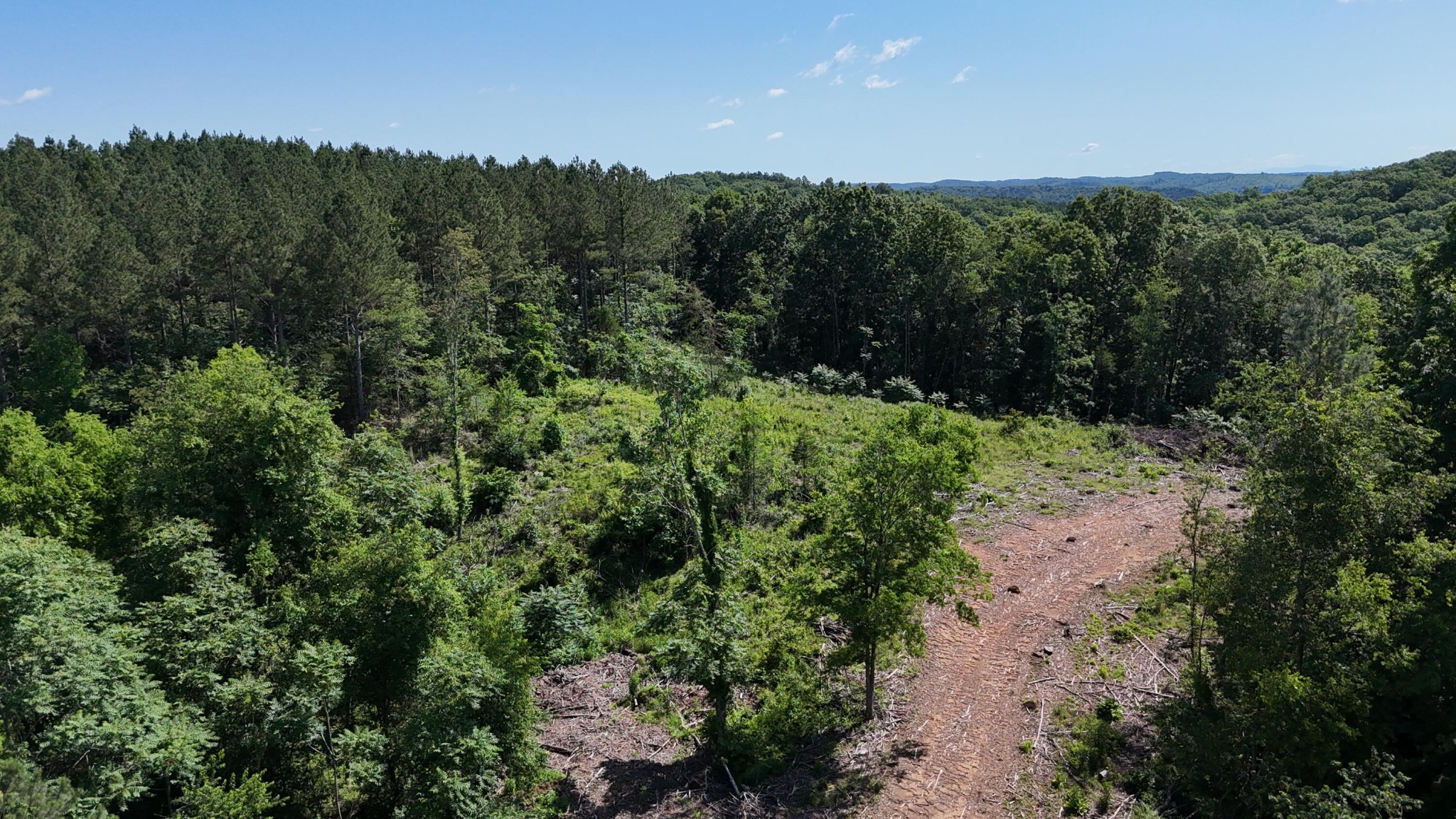 2 Lamontville Road Calhoun, TN 37309 - Photo 1 of 18 Gallery Image 1